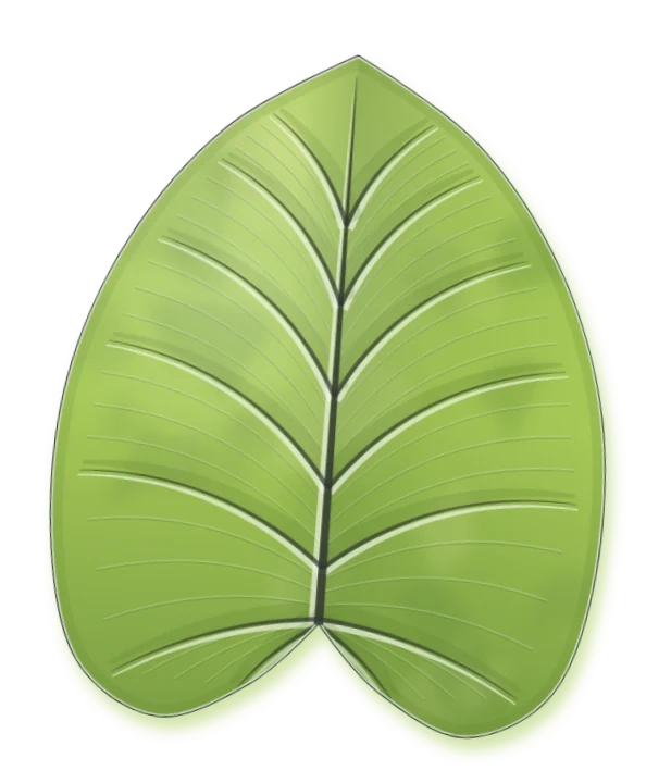 Philodendron gloriosum