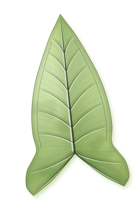 Syngonium podophyllum